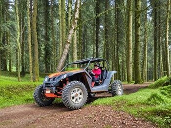 buggy-breisgau-gallery2